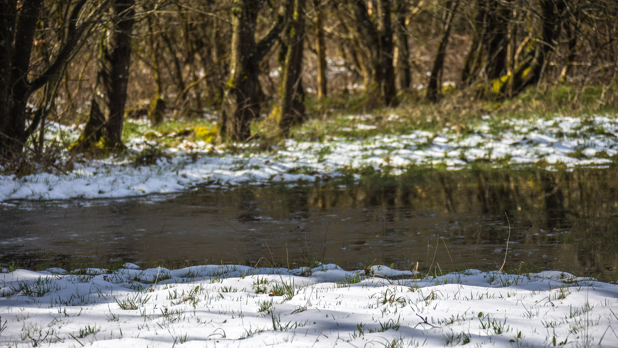 20220409143423 R5D 1319